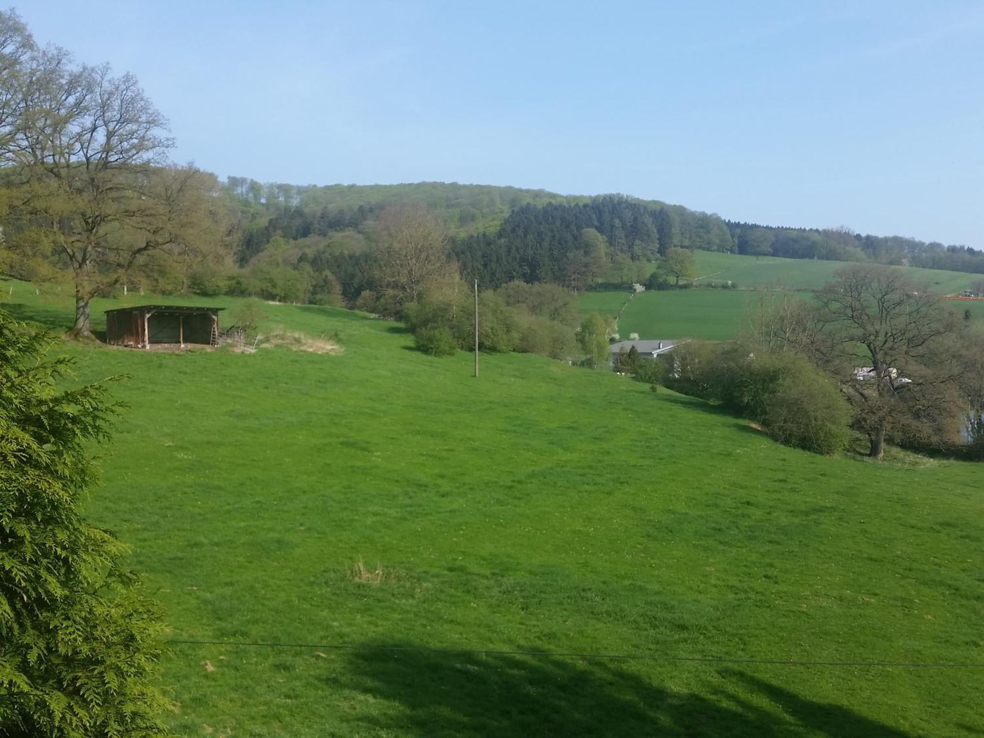 Fewo Am Wald Balve Rom bilde
